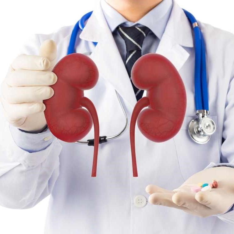 Medico nefrólogo - 
